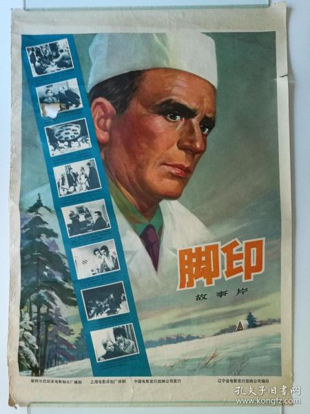 南方理工学院社会学文凭证书